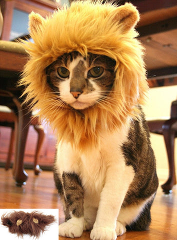 Cat Lion Mane - Cat Lion Mane Costume